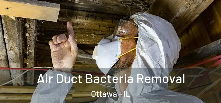  Air Duct Bacteria Removal Ottawa - IL