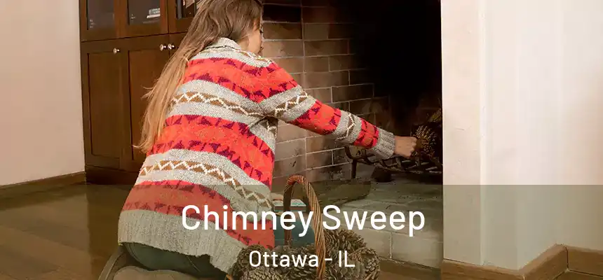  Chimney Sweep Ottawa - IL