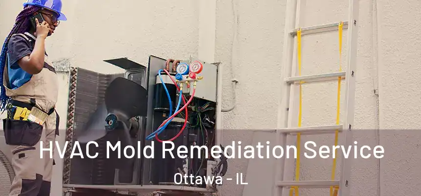  HVAC Mold Remediation Service Ottawa - IL