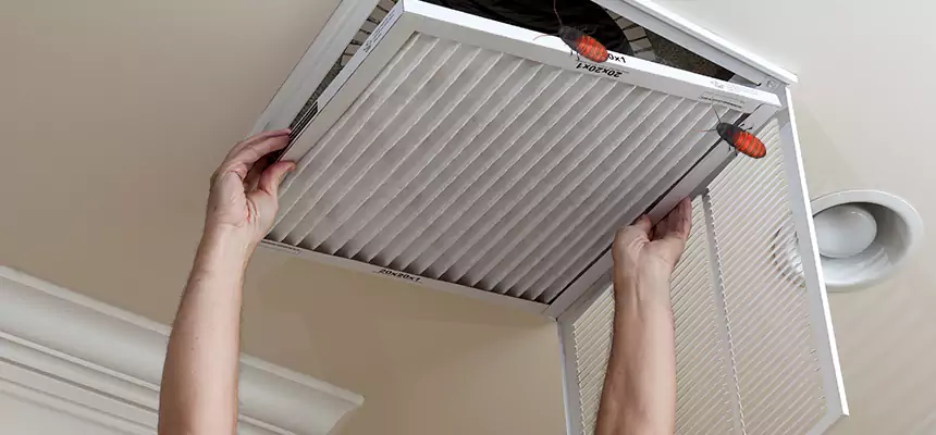 Our Insect Removal from Air Ducts Services in Ottawa, IL