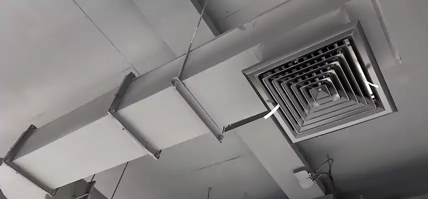 Our Pest Removal From Ducts Services in Ottawa, IL