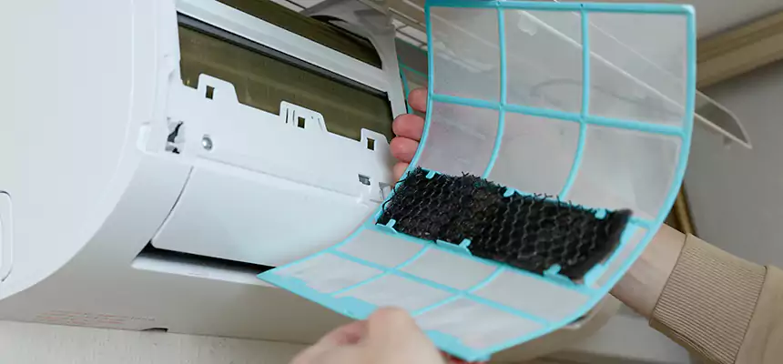 Gentle Ductwork Odor-Control Pet Dander Duct Cleaning in Ottawa, IL