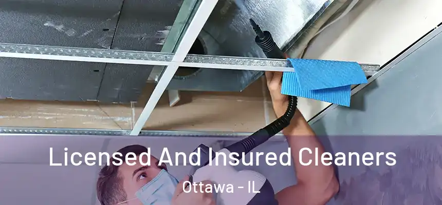 Licensed And Insured Cleaners Ottawa - IL