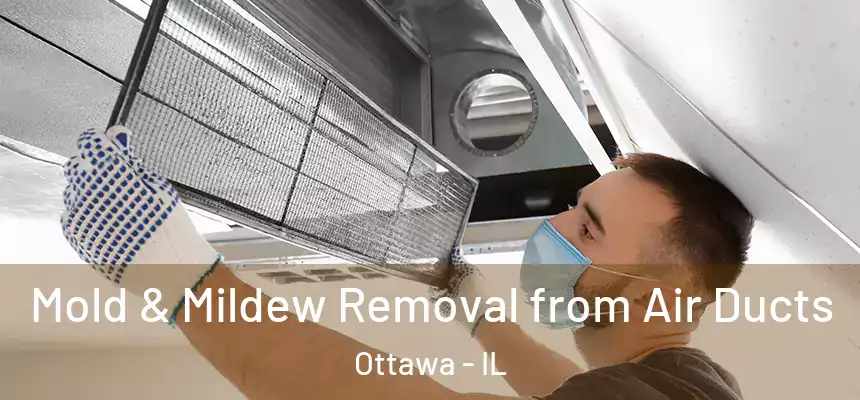  Mold & Mildew Removal from Air Ducts Ottawa - IL