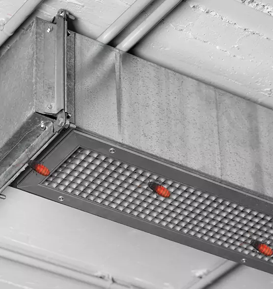 About Air Duct Cockroach Removal in Ottawa, IL