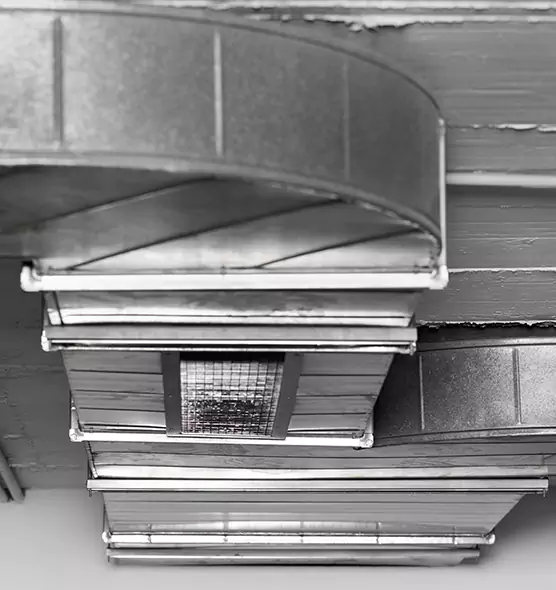 Professional Air Duct Pest Removal in Ottawa, IL