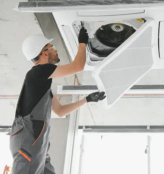 About Air Duct Rodent Removal in Ottawa, IL