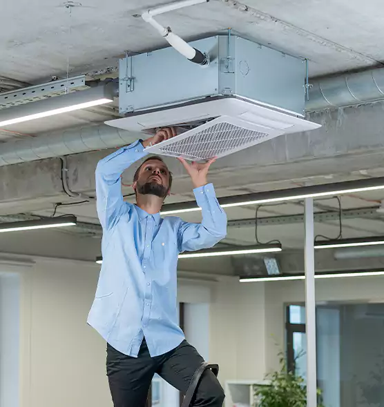 Advanced Rodent Droppings In Vents in Ottawa, IL