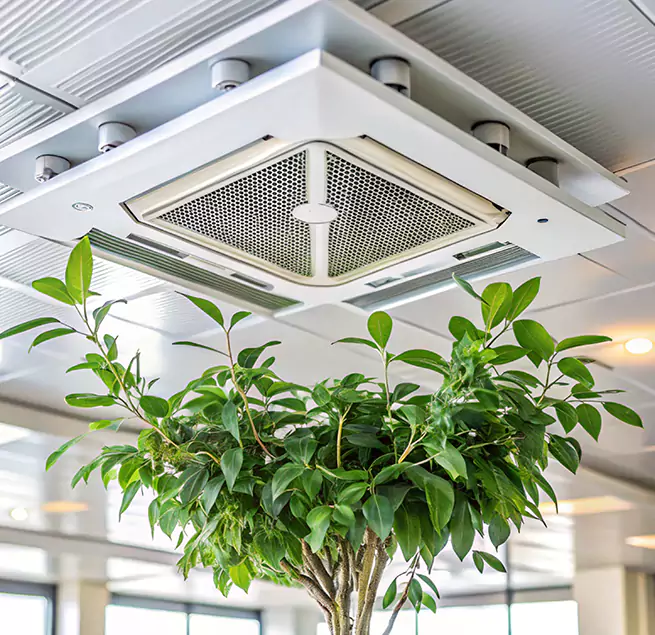 Why Homeowners & Businesses Trust Us in Ottawa, IL?